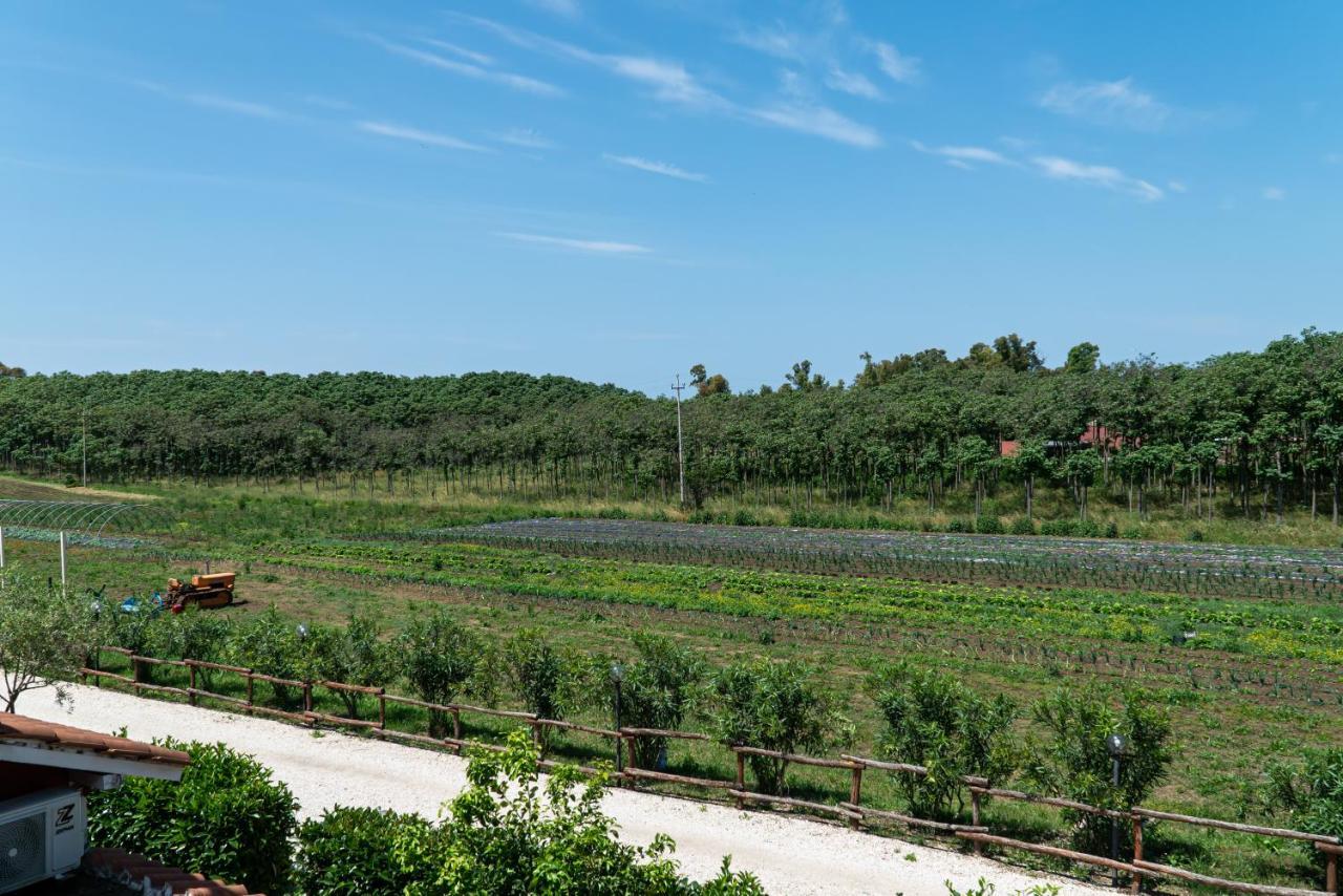 Agriturismo Il Casale Guest house *